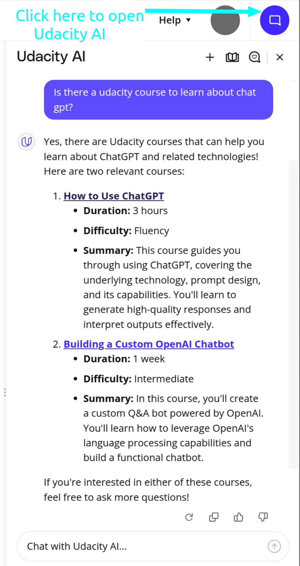 Udacity AI Sidepanel